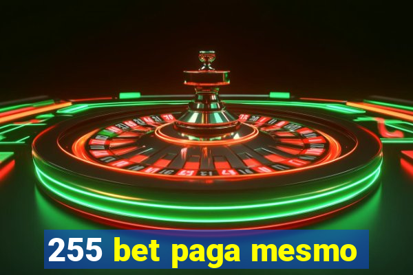 255 bet paga mesmo